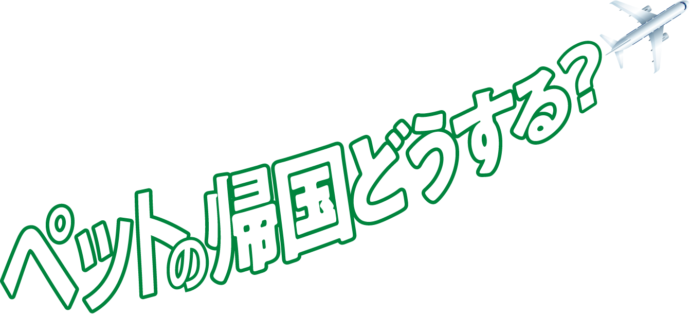 帰国編 オーストラリアから日本に向けてペットの帰国どうする?教えて エコノムーブジャパン!